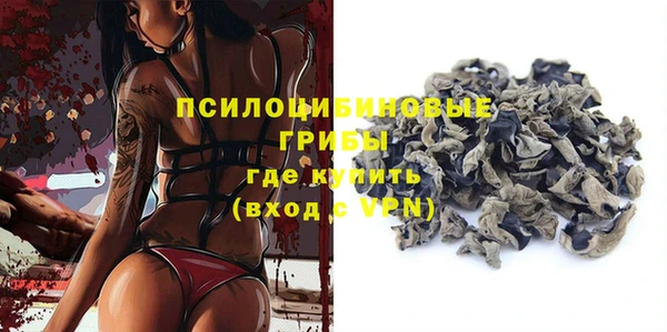 дурь Алексин
