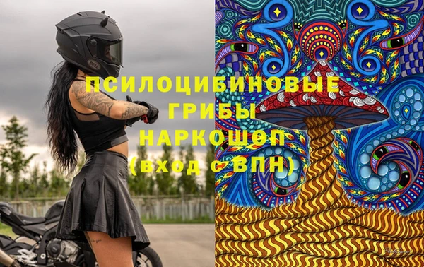 дурь Алексин