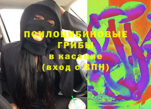 дурь Алексин