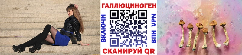 Псилоцибиновые грибы Psilocybine cubensis  гидра ссылки  Вихоревка 