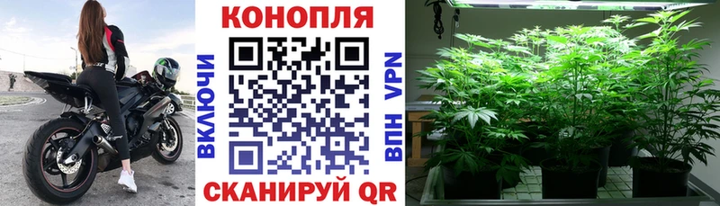 omg онион  Вихоревка  Марихуана индика 